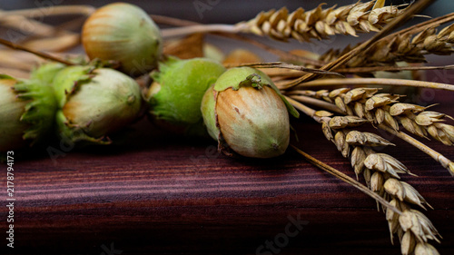 Fotografía Hazelnuts and wheat ears on a wooden board, early autumn, close-up, macro