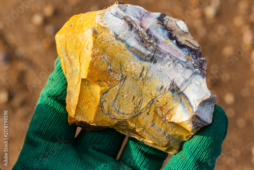 Fotografie Detailed close-up of a vibrant patterned flint nodule with natural patina, held