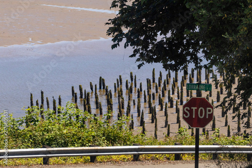 Cuadro en lienzo Willapa river in Washington state, beyond street end