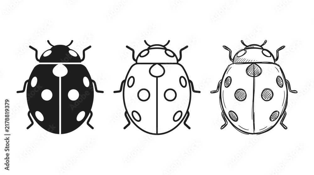 Fototapeta premium Three stylized ladybug illustrations from above in silhouette, outline, and sketch versions