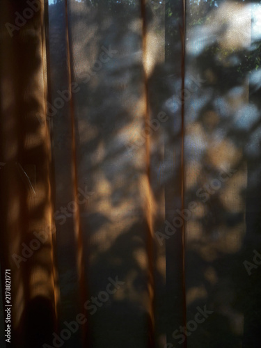 Fototapeta light spots in the autumn through the window