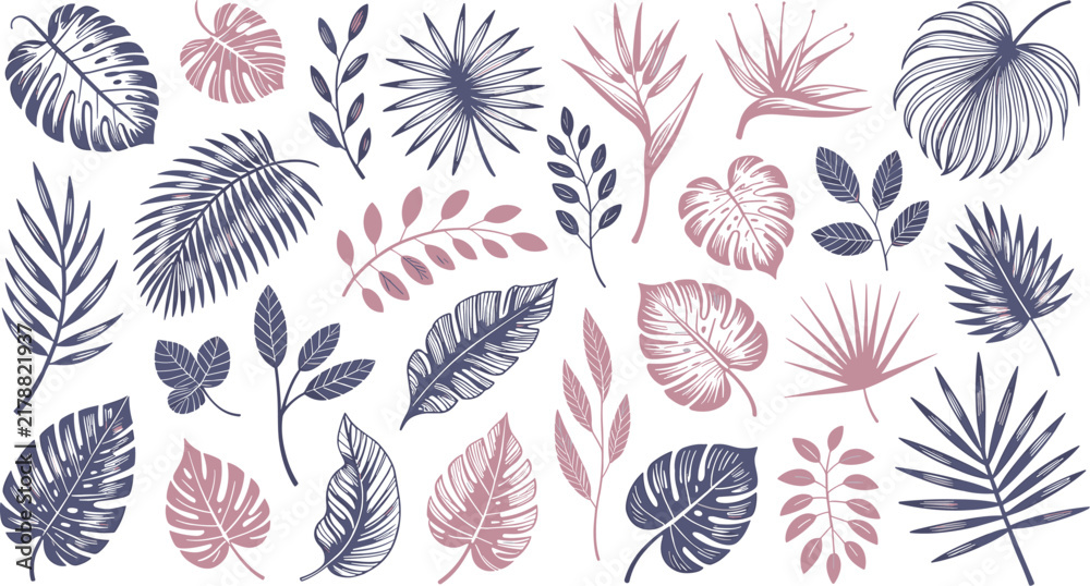 Fototapeta premium Elegant Tropical Botanical Leaf Collection with Monstera, Palm, Fern and Exotic Foliage in Minimal Hand Drawn Vector Illustration Style