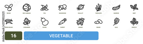 Set of 16 outline web Vegetable icons such as parsley, kale, beans, ginger, carrot, gourd, coriander vector icons for report, presentation, diagram, web design, mobile app