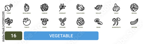 Set of 16 outline web Vegetable icons such as zucchini, beansprouts, beans, brussel sprouts, kohlrabi, fennel, tomato vector icons for report, presentation, diagram, web design, mobile app