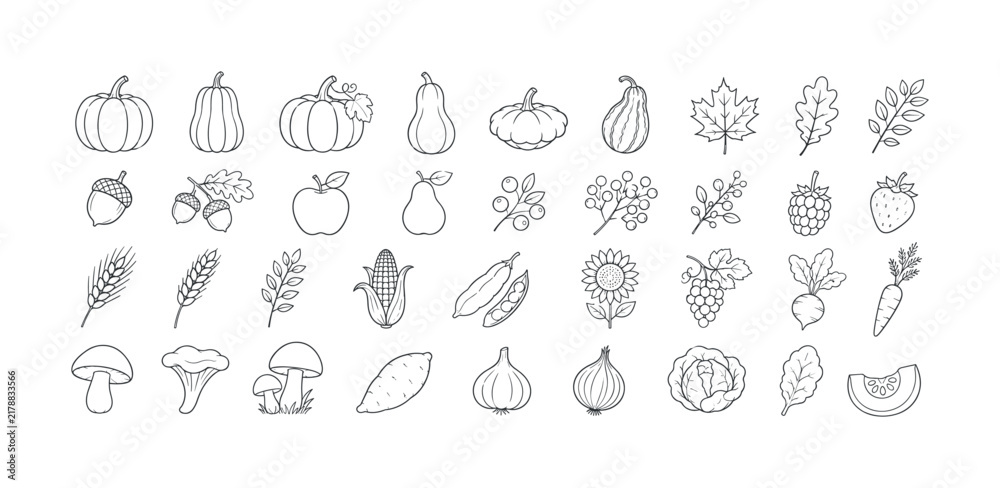 Obraz premium Collection of hand-drawn autumn harvest icons and seasonal produce illustrations