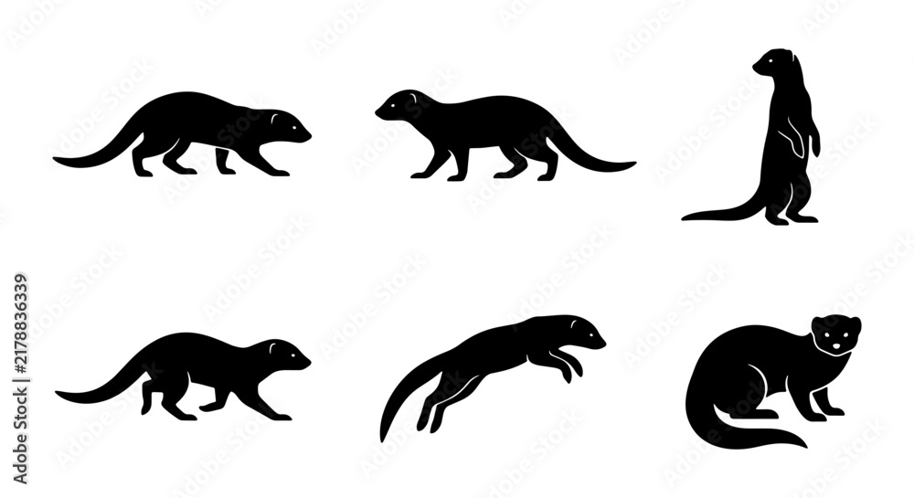Obraz premium Ferret Silhouette Collection, Vector Animal Icons Set, Mammal Wildlife Poses, Black and White Graphic Elements for Design