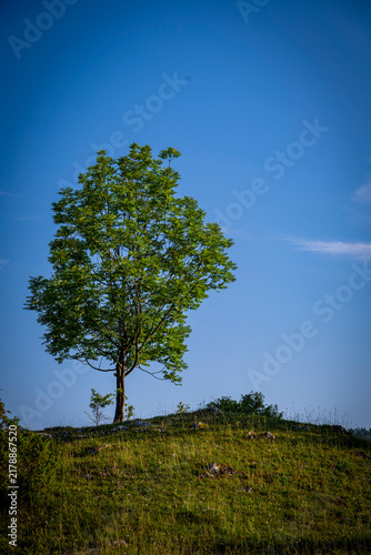 Polskie Góry Pieniny, Małopolska, lato, wschód słońca.