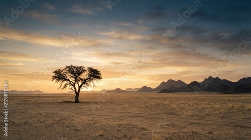 sunset in the savannah