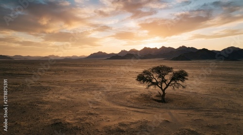 sunset in the serengeti