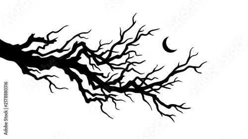 Spooky Bare Tree Branch Silhouette with Crescent Moon Halloween Vector Illustration