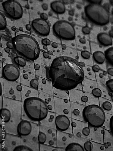 Bild auf Leinwand Gotas de lluvia