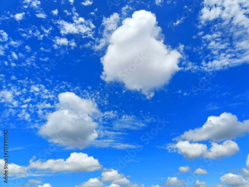 青空を見上げて　夏　早秋イメージ
