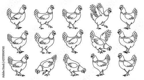 Domestic Chicken and Poultry Hen Outline Vector Icon Set Featuring Diverse Action Poses Like Walking Standing Pecking and Flapping Wings for Farm Agriculture Layouts