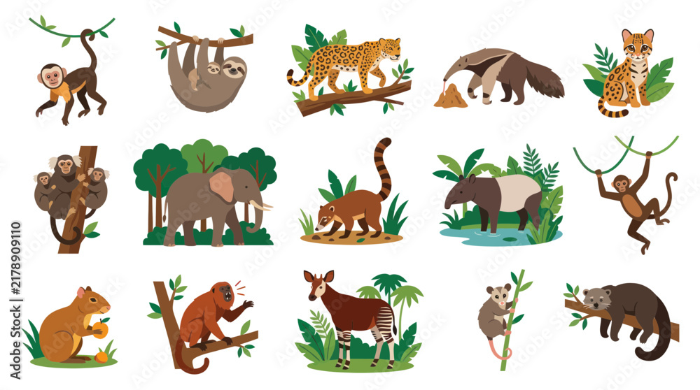 Obraz premium Flat vector illustration of tropical jungle rainforest animals set. Wildlife mammals collection for nature education.