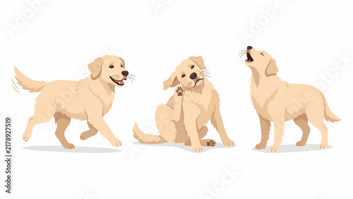 Three playful golden retriever puppies in different poses, isolated on a white background.