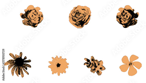 Retro screenprinted roses and wild flower heads isolated. Vintage duotone botanical stamps grunge style in newspaper color