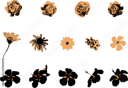 Retro screenprinted flower heads isolated. Vintage duotone botanical stamps in yellow brown newspaper colors.