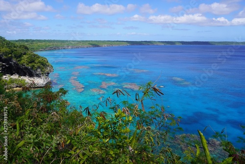 Foliage fringing the Cliffs of Jokin, New Caledonia