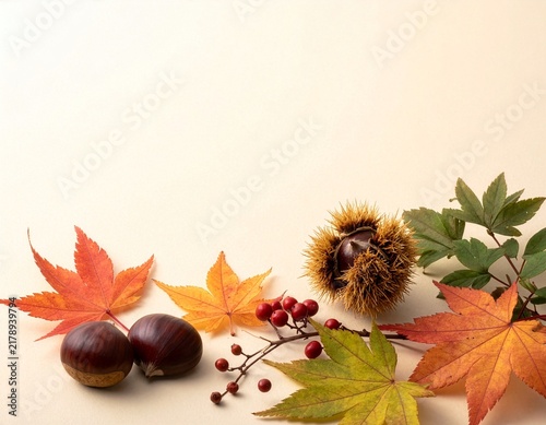 Fototapeta kuchenna 栗と紅葉をあしらった秋の背景素材 コピースペース
