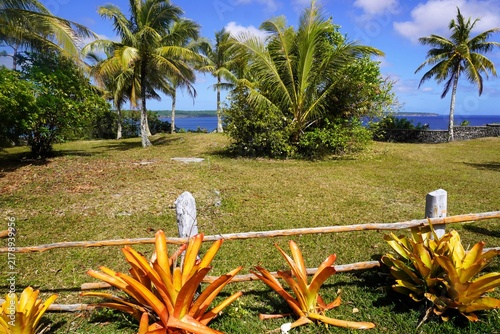 Fotografie Tropical Coastal Landscape with Bromeliads and Palm Trees