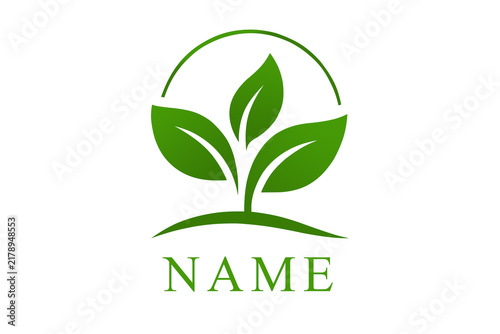 Evergreen icon, symbol of greening efforts.