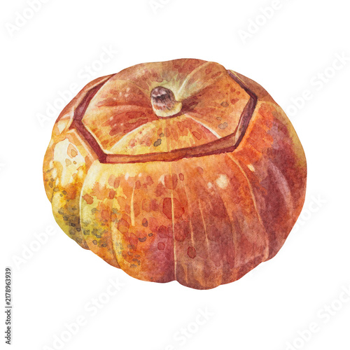 Watercolor orange baked pumpkin isolated on white background. October september autumn vegetable raw food for sticker or halloween card. Hand-drawn clipart for kitchen. Wallpaper and wrapping