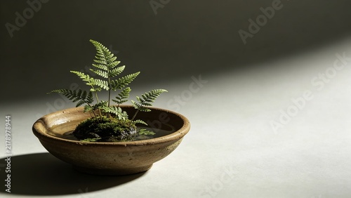 Obraz na płótnie island diorama with miniature ferns floating in pottery bowl