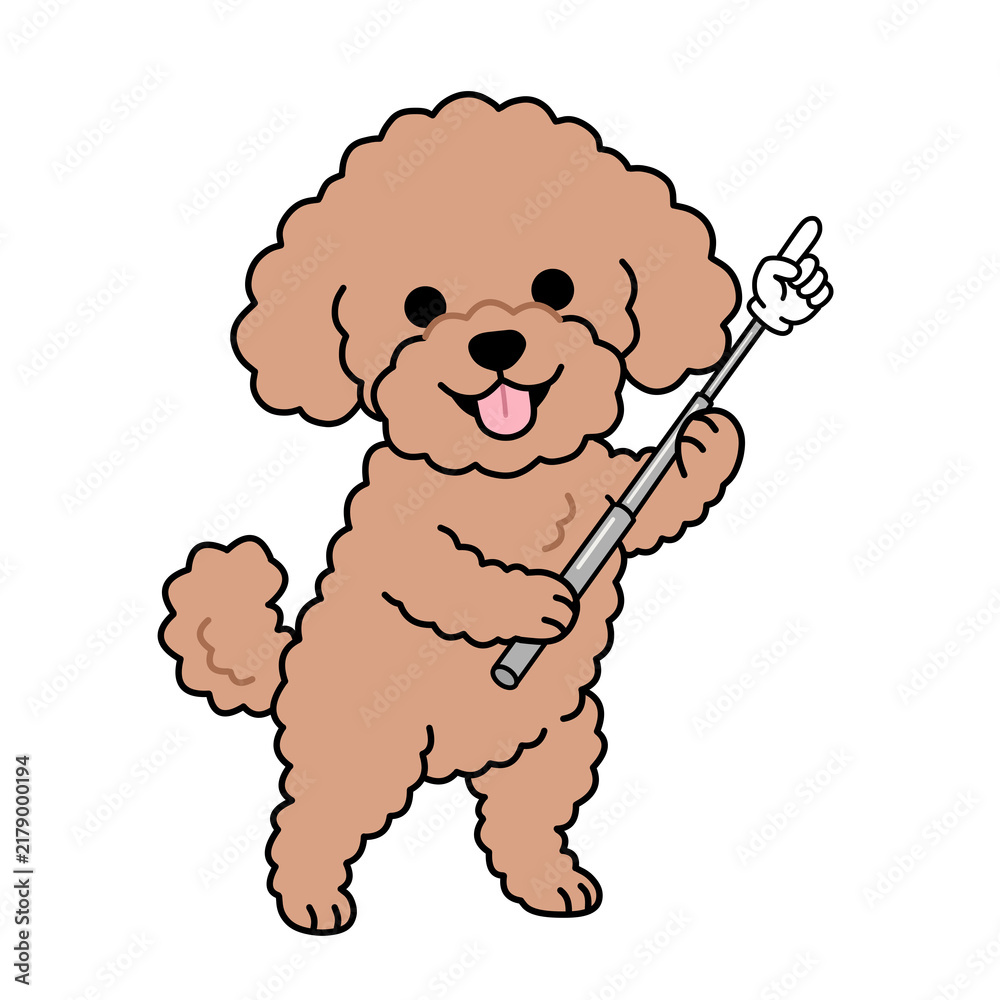 Obraz premium Cute toy poodle holding a pointer stick and pointing up, teaching and presentation concept, isolated character illustration