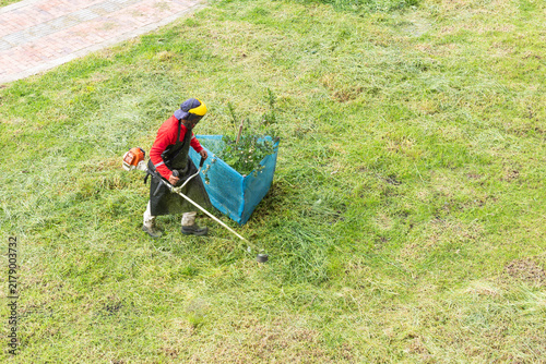 Gardener trimming grass with brush cutter on a lawn
