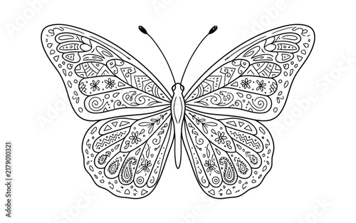 Ornate Butterfly Line Art Vector Illustration – Intricate Zentangle Patterned Wings Black and White Outline Sketch for Coloring Book or Tattoo Design
