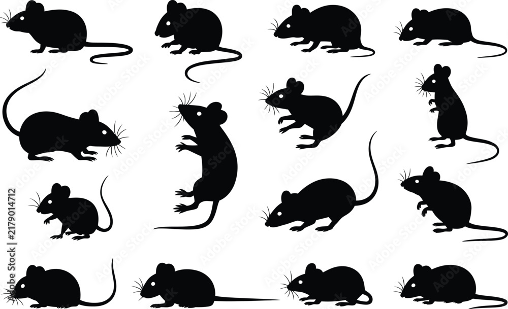 Obraz premium Collection of black mouse silhouettes featuring diverse rodent poses whiskers and long tails isolated on white background vector illustration