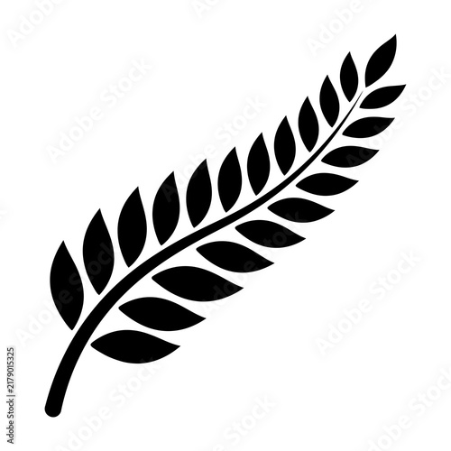 black fern leaf silhouette isolated on white background