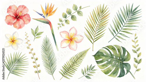 Watercolor tropical flowers and palm leaves collection isolated on white