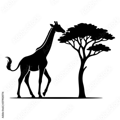 African Giraffe Standing by Acacia Tree Vector Silhouette