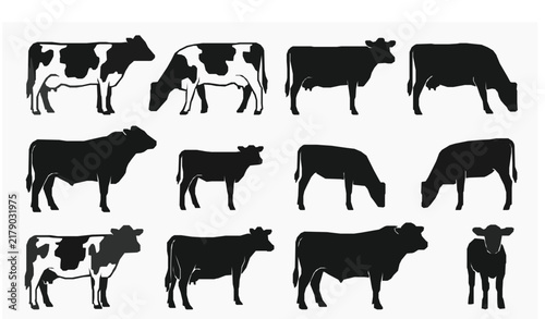 Cow Farm Silhouette Vector Set – Dairy Cattle Livestock Collection