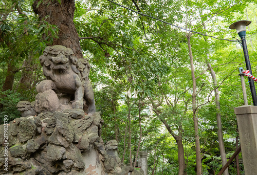 Photography Stone Guardian Lion Statue surrounded Green Leaves at Japanese shinto shrine