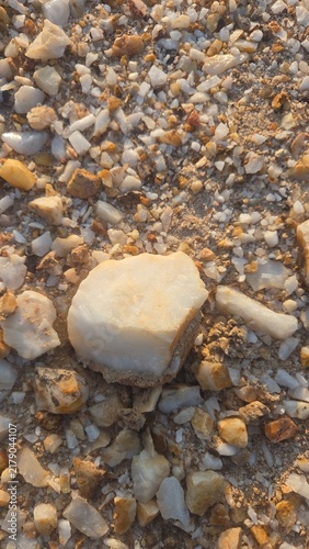 Фотография An area rich in silica-quartz type rocks (background texture)