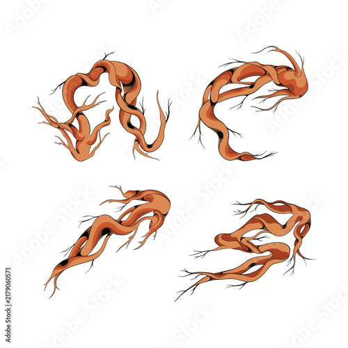 Hand drawn wooden twig element arrow sign set vector