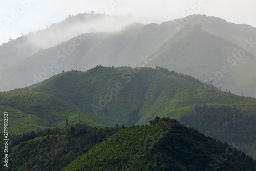 Landscape of Morning Mist with Mountain Layer. mountain ridge and clouds in rural jungle bush forest