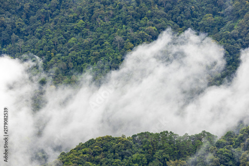 Landscape of Morning Mist with Mountain Layer. mountain ridge and clouds in rural jungle bush forest