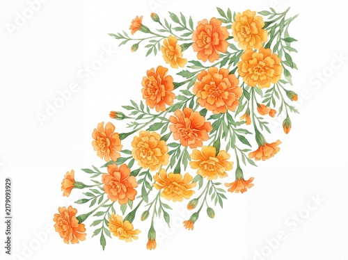 Watercolor orange marigold flowers with green leaves isolated