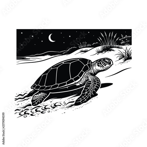 Sea turtle crawling on sandy beach at night under crescent moon illustration