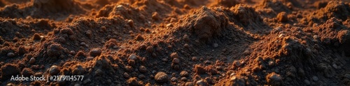 Realistic seamless soil texture, rich browns and blacks, profile, sand