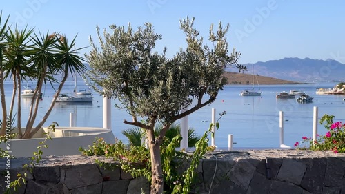 A picturesque view of Bitez Bay in Turkey, framed by olive trees and blooming bougainvillea, overlooking calm waters with anchored boats and distant coastal hills.