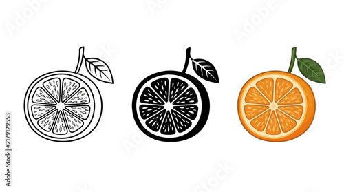 Three Versatile Orange Citrus Fruit Vector Designs Featuring Line Art Silhouette and Detailed Full Color Graphic Illustrations for Healthy Food Projects