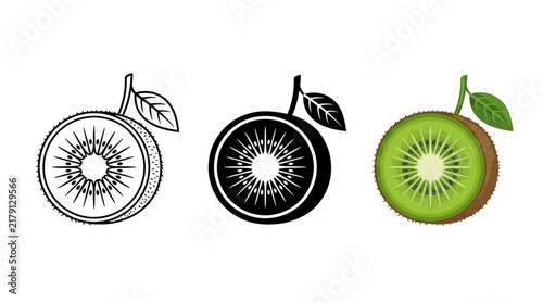 Three Styles of Fresh Kiwi Fruit Vector Illustrations Featuring Outline Solid and Detailed Realistic Designs for Food and Healthy Eating Concepts