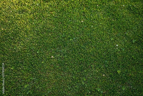 A top-down view with a lush green lawn in the background