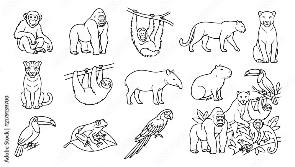 Fototapeta premium Jungle animals line art collection, 14 tropical wildlife vector icons. Minimalist rainforest animal illustrations for coloring and design.