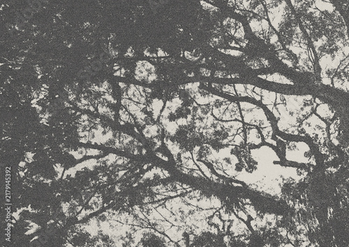 Fotografie Abstract Halftone Texture of Tree Branches Creating Intricate Patterns Against a