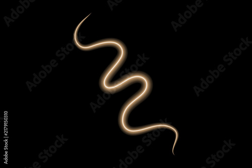 Abstract Golden Glowing Neon Wavy Line on Black Background